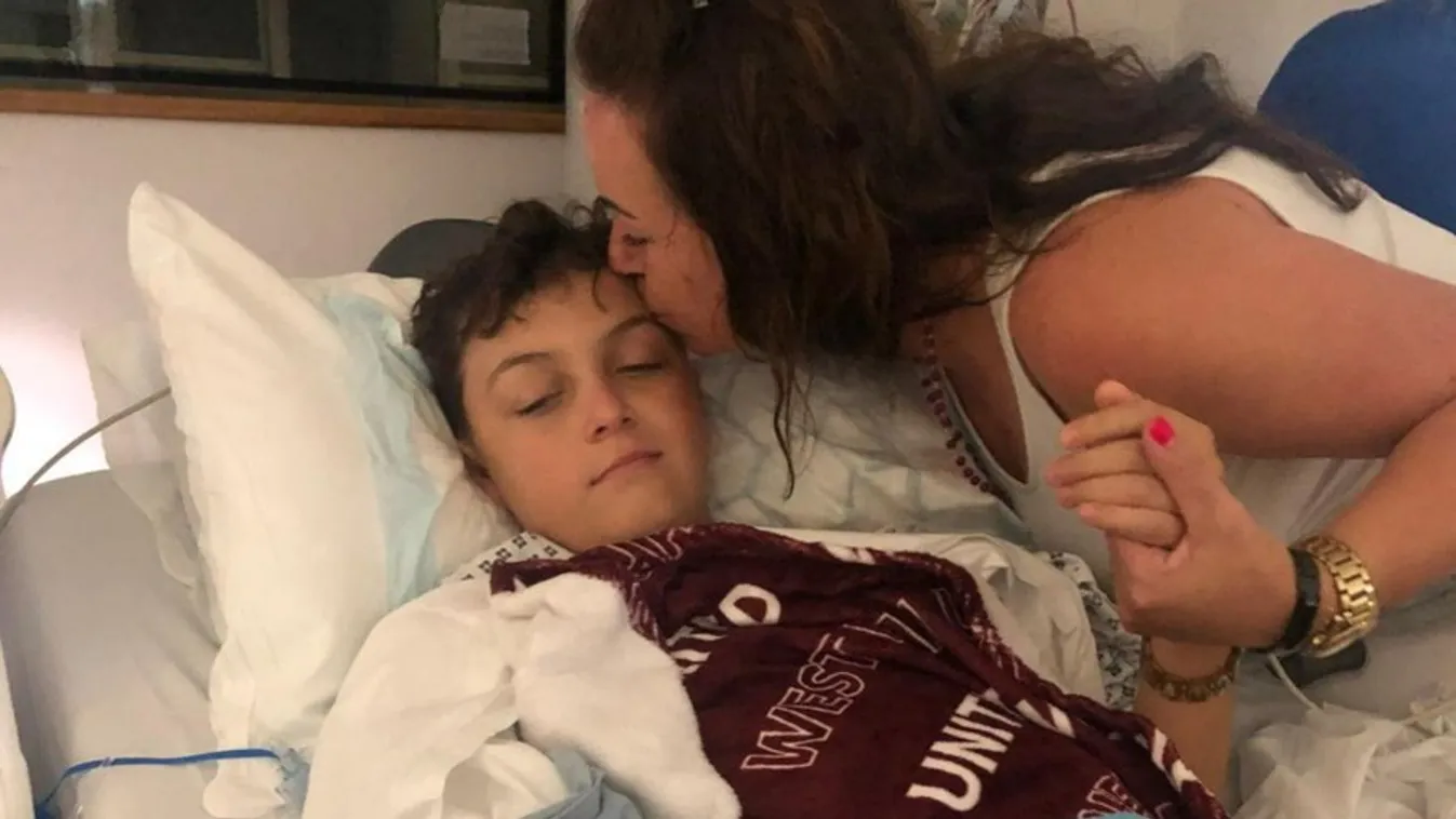 Agydaganattal diagnosztizálták a 14 éves Oscart