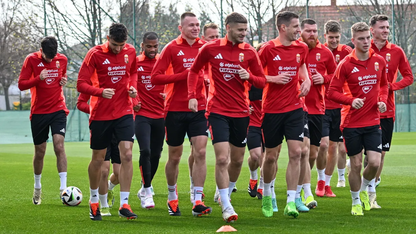 Nem mer tippelni a magyar edzőlegenda az Eb-re