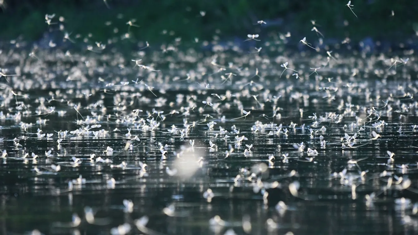 Fotókon a csodás hazai, természeti jelenség - Galéria