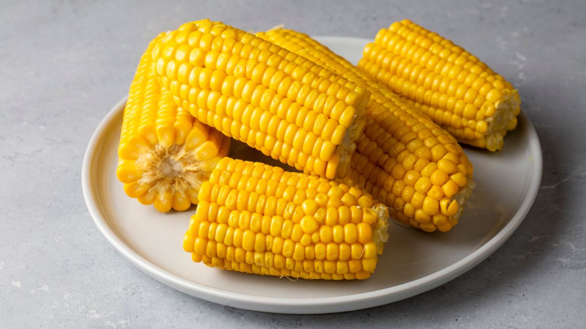 Sweet,Boiled,Corn,,Food,Concept,Photo kukorica