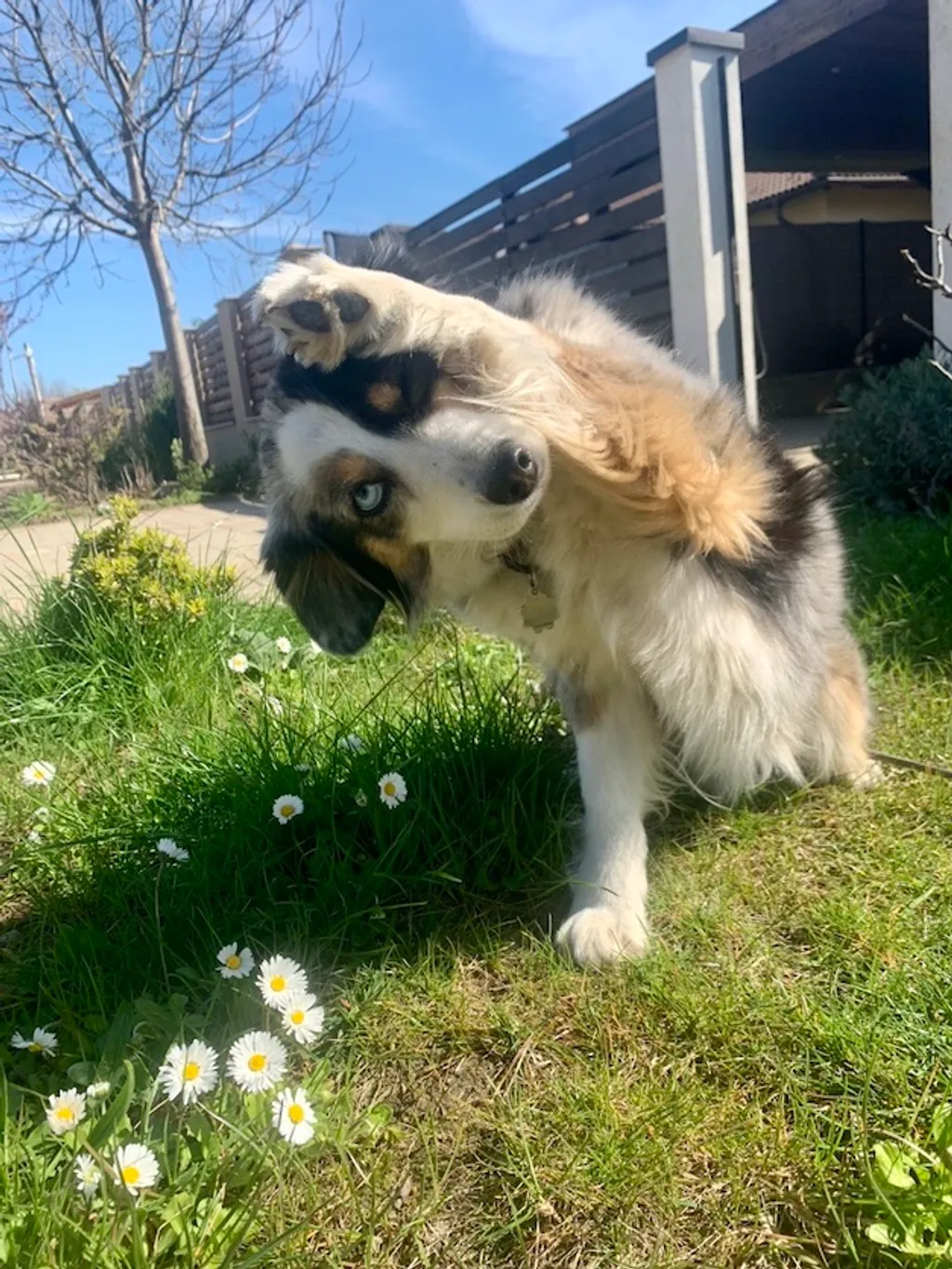 III. helyezett: Simonffy Szilvia és Mici