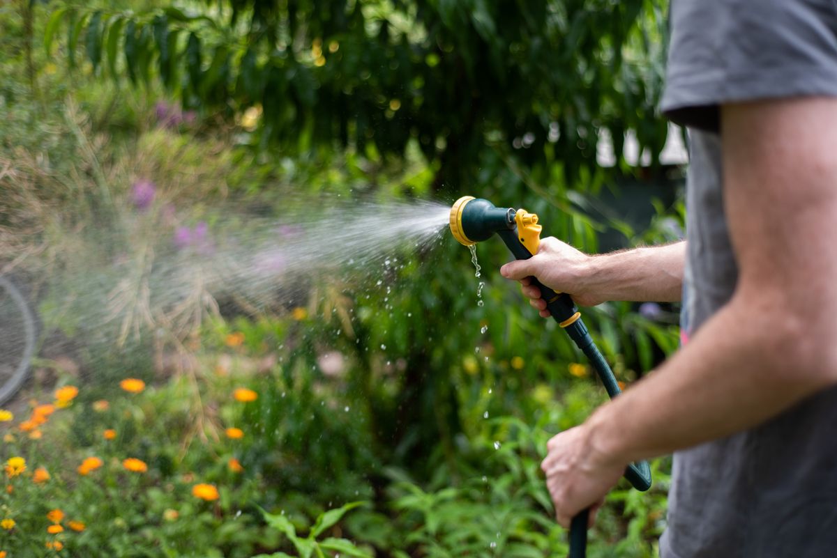 Watering,The,Garden.,Man's,Hand,Holding,A,Water,Hose,With