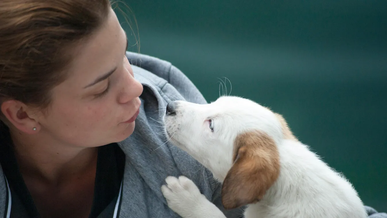 A házi kedvenceink tudják, mikor halnak meg
