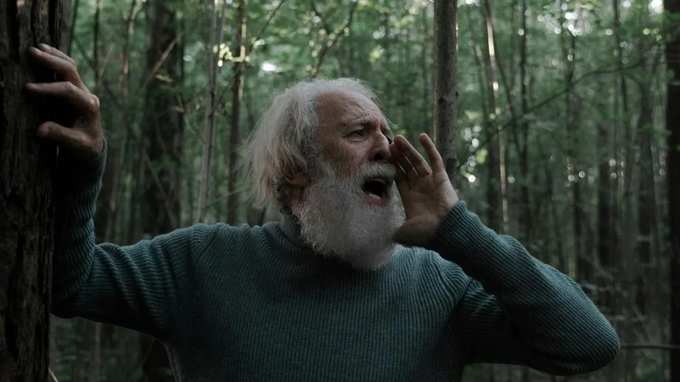 Kiugróan sok idős embert tűnt el az elmúlt időszakban