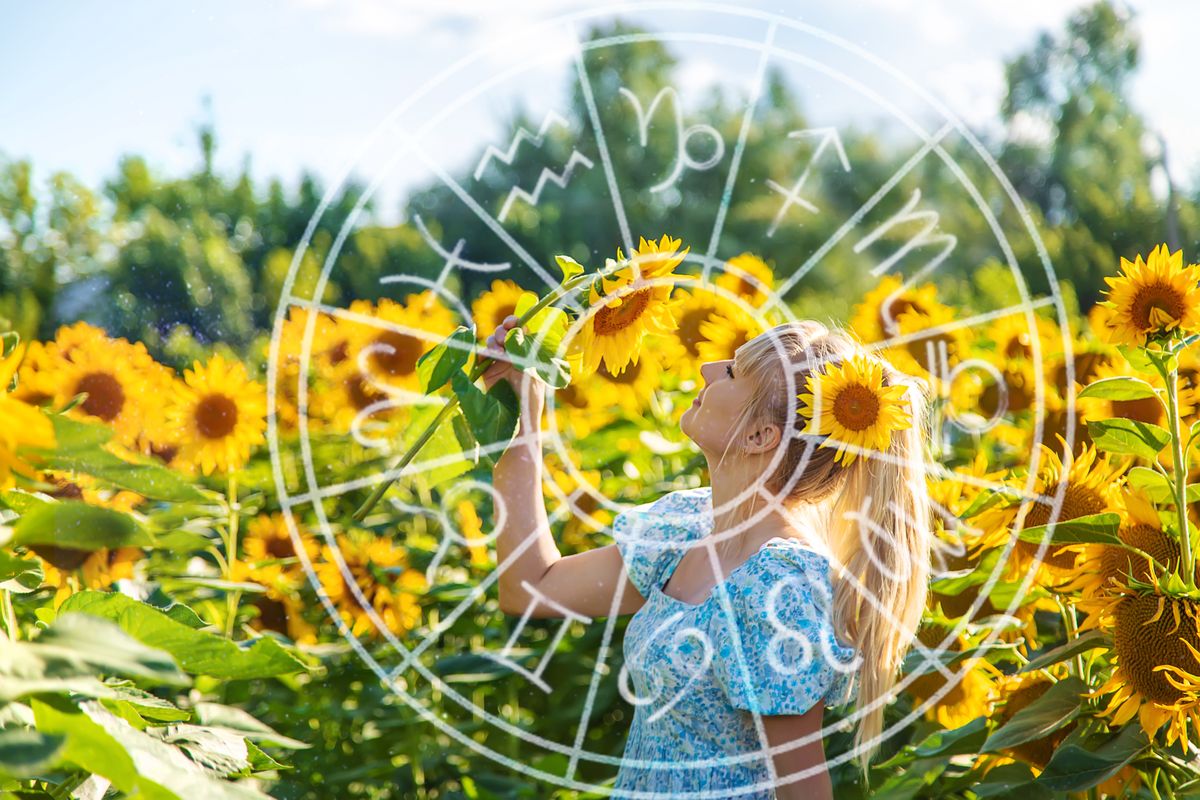 Woman,In,A,Field,Of,Sunflowers.,Ukraine.,Selective,Focus.,Nature.