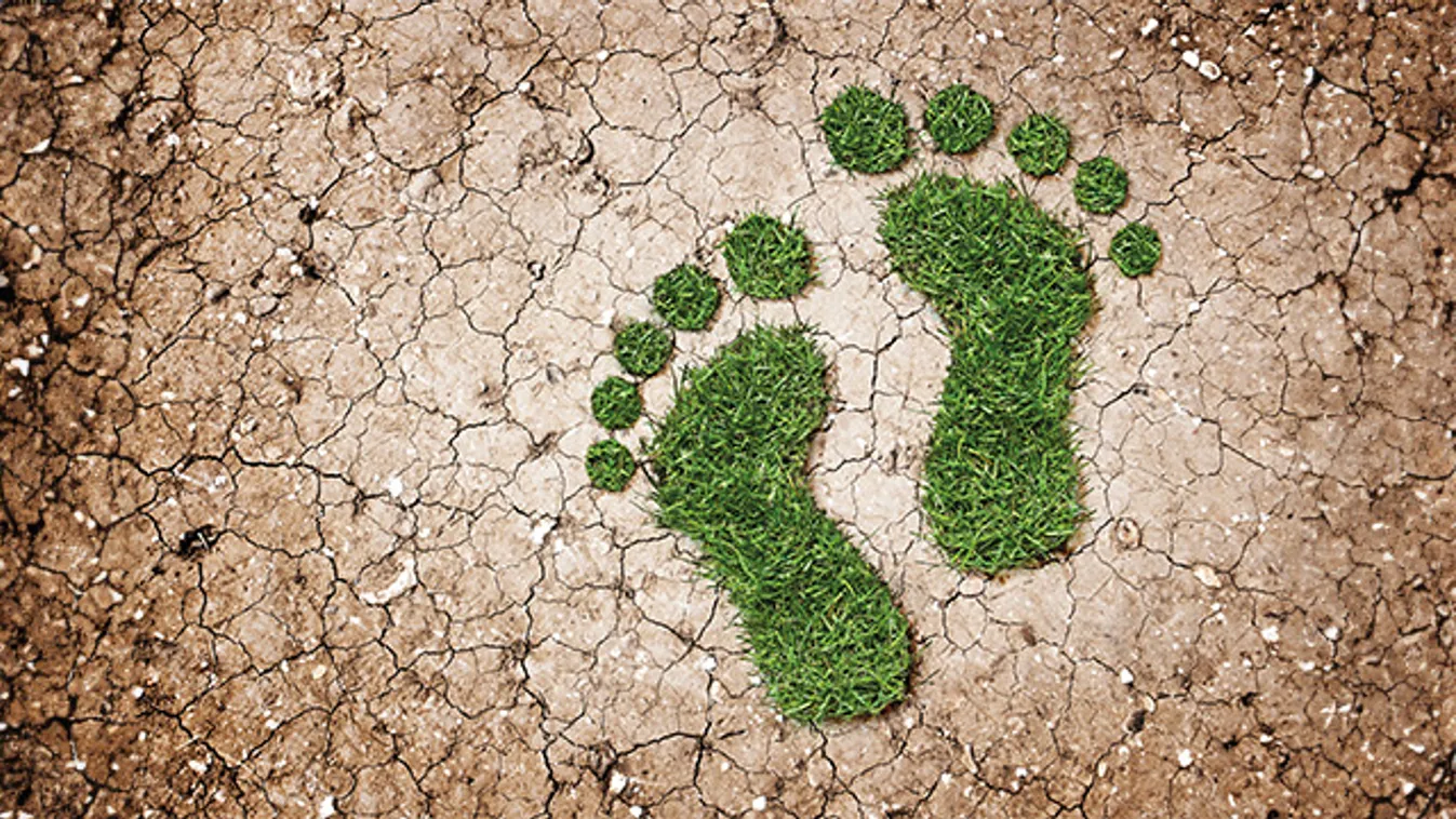 Akad egy kereskedés, aminek negatív a karbonlábnyoma