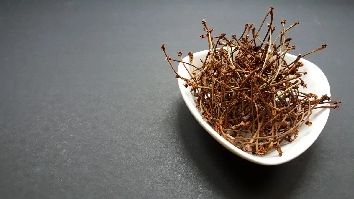 Dried,Medicinal,Aromatic,Herb,Cherry,Stalk,On,Black,Background,In