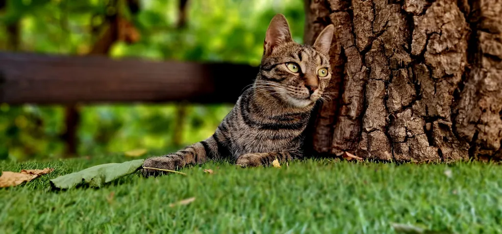 III. helyezett: Böjtös Gábor és Freddy