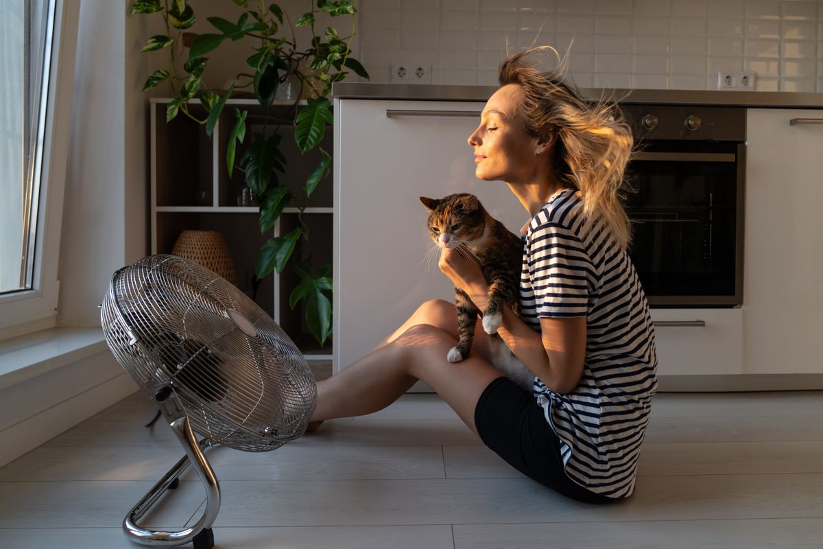 Young,Woman,Holds,Cat,In,Front,Of,Electric,Fan,And