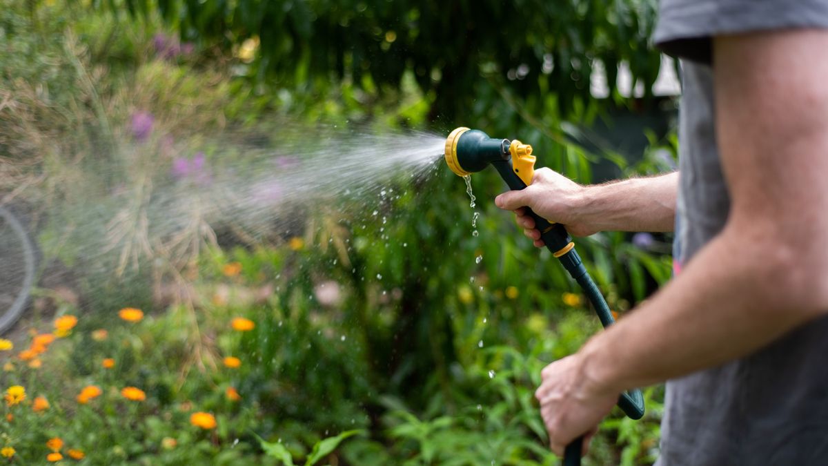 Watering,The,Garden.,Man's,Hand,Holding,A,Water,Hose,With locsol öntöz növény