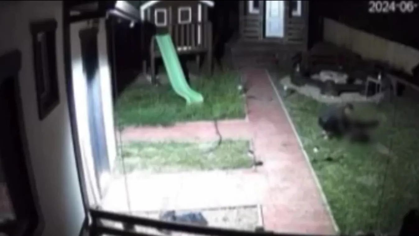 Kegyetlen gyilkosságra került sor Szarvason