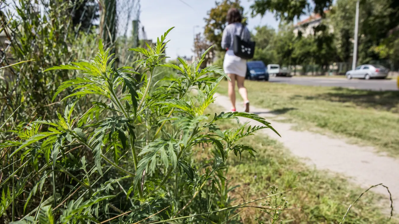 Allergiásként pláne számít, hogy mikor és mit eszel!