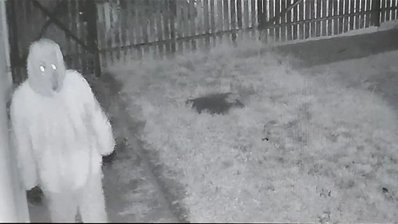 Maszkos fantom tartja rettegésben a lakókat