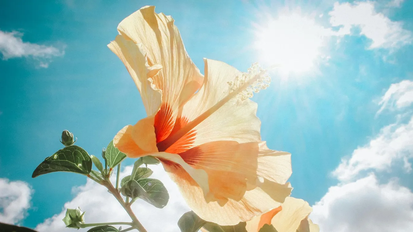 27 fok, napsütés: visszatér vasárnapra a nyár