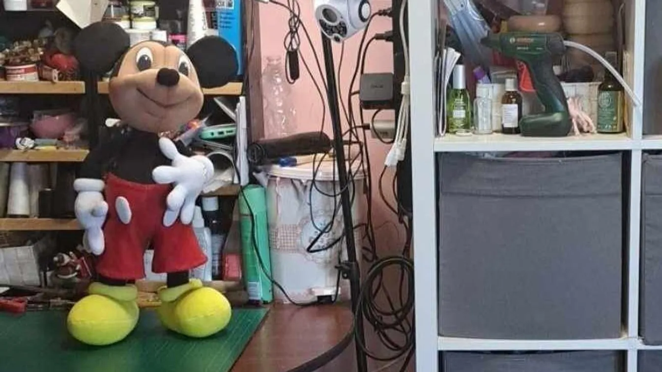 Éjszaka életre kelhetnek Ibolya műhelyében a plüssfigurák