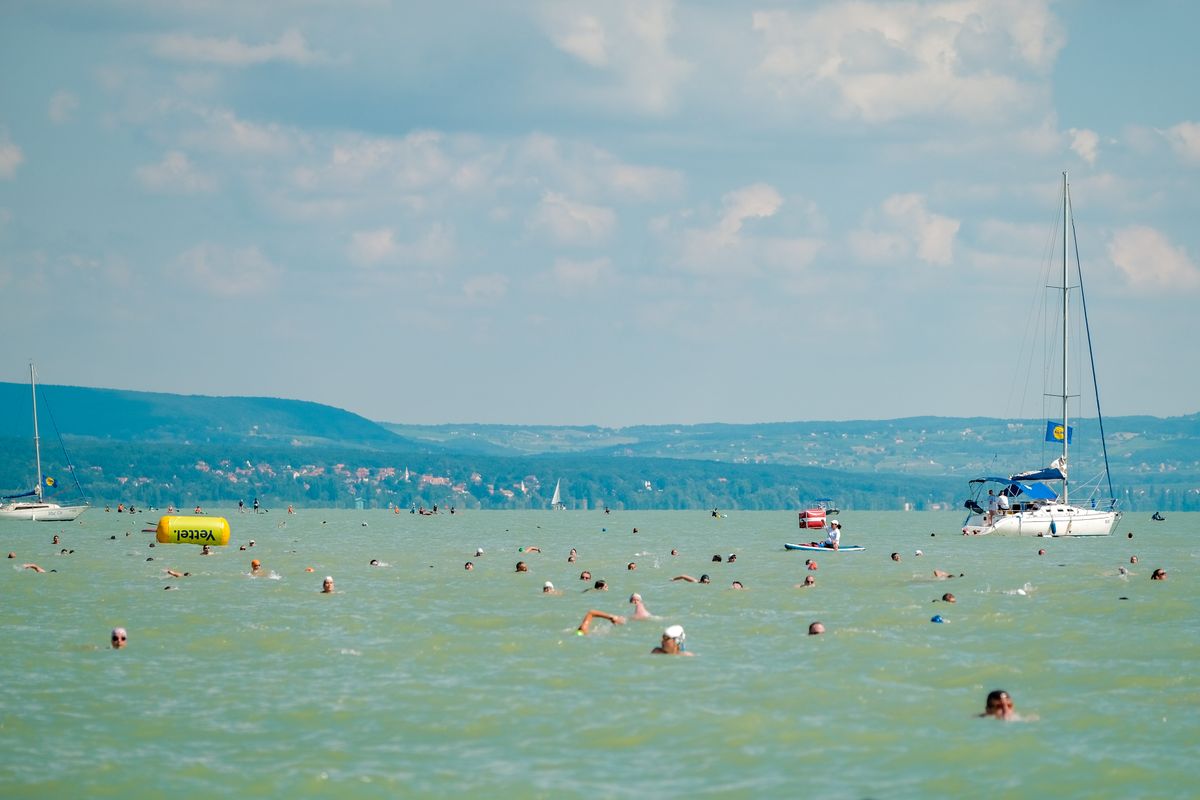 42. Lidl Balaton-átúszás