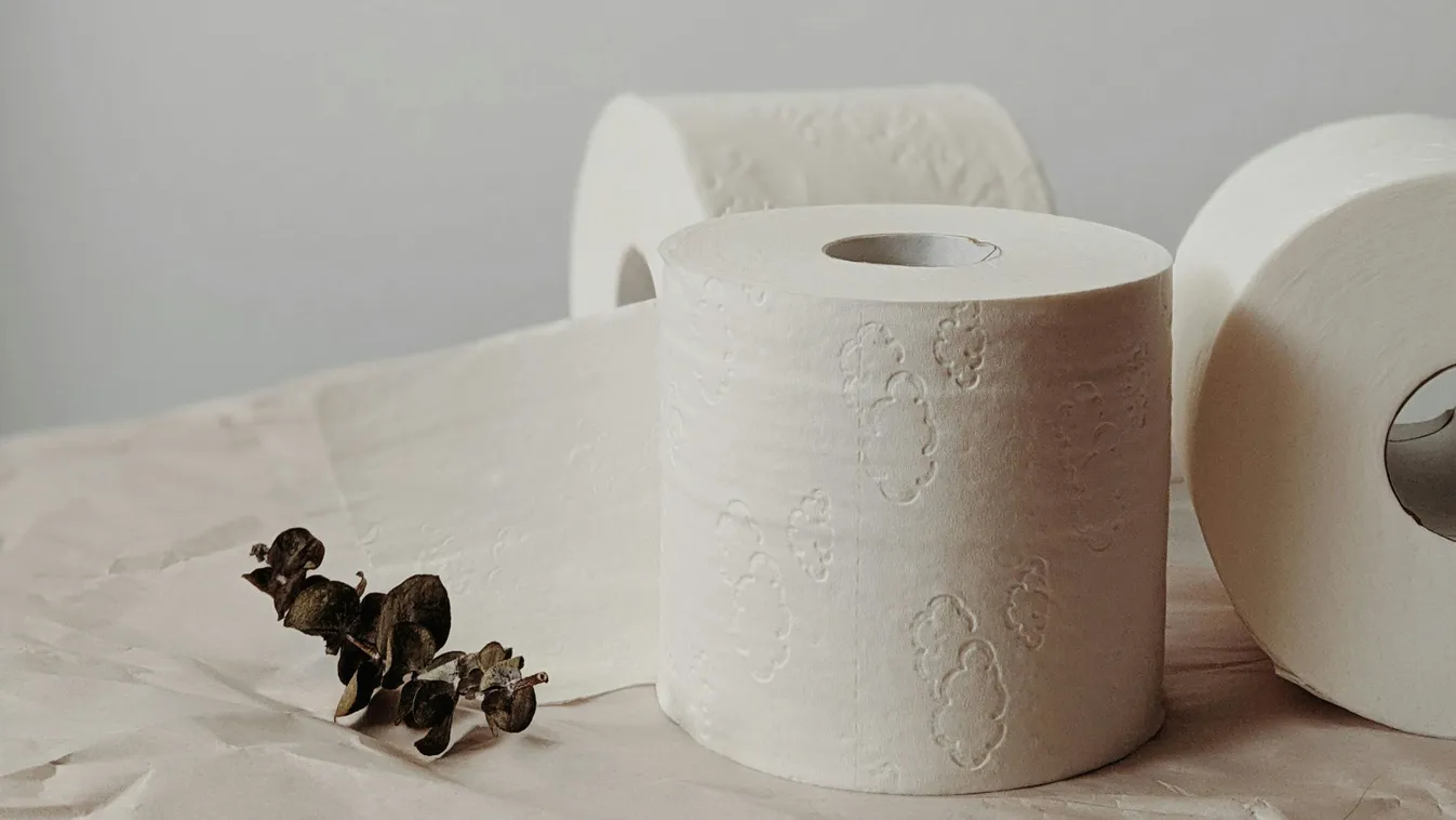  Emberi ürülék keseríti meg a XIII. kerületiek életét