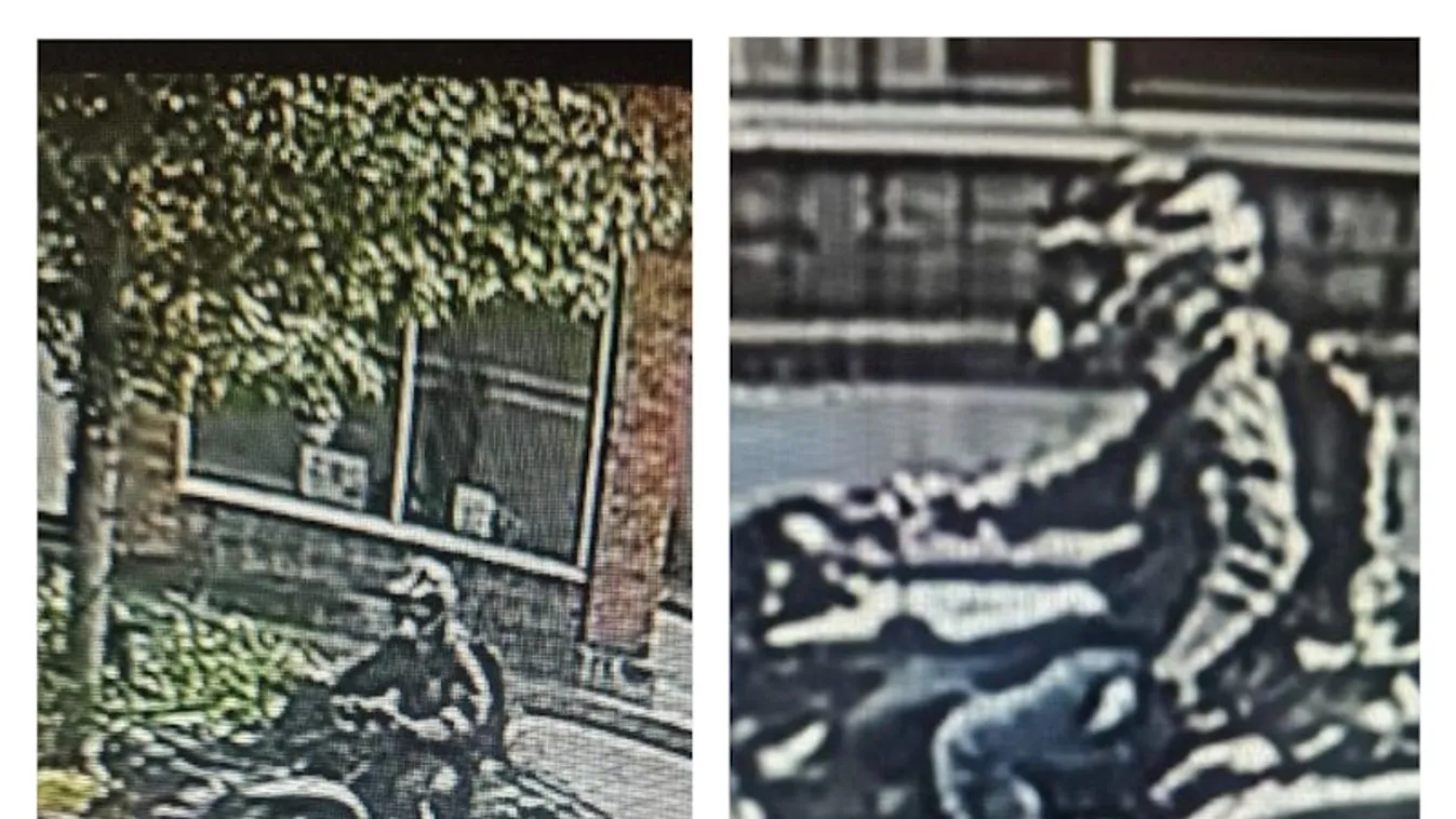 Megpróbálták megölni Trump egyik hívét Michiganben