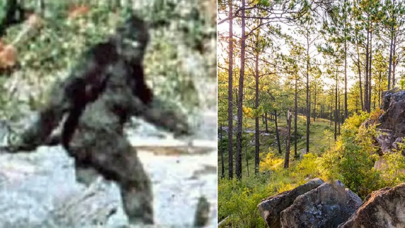 Nagylábbal találkoztak a halálra rémült tinik