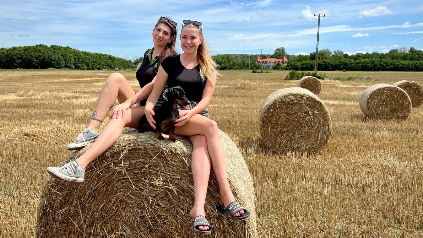 Olvasóink megőrülnek a Kovács lányokért