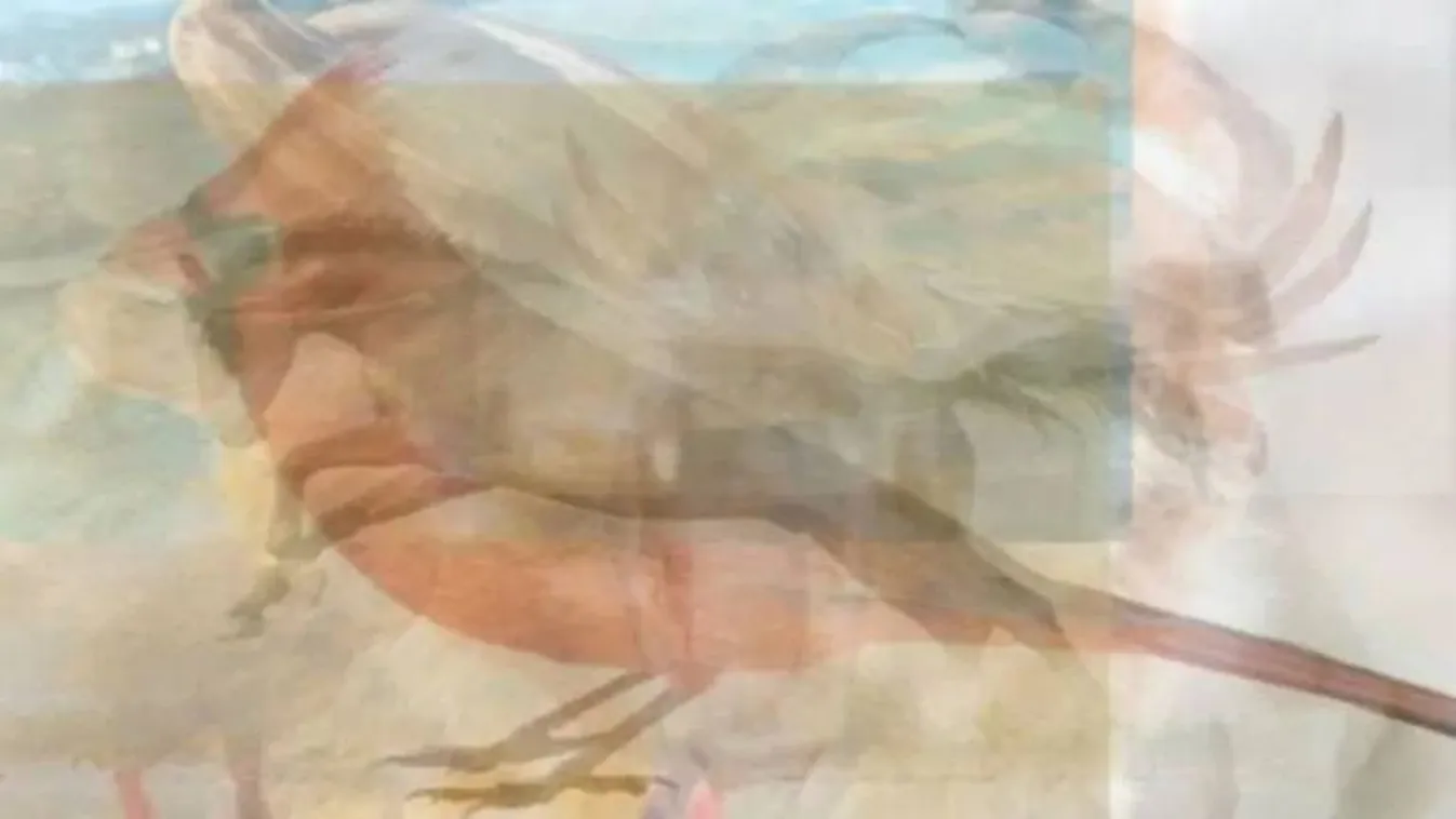 Melyik állatot láttad meg először a képen? Lelked titkait árulja el ez a személyiségteszt