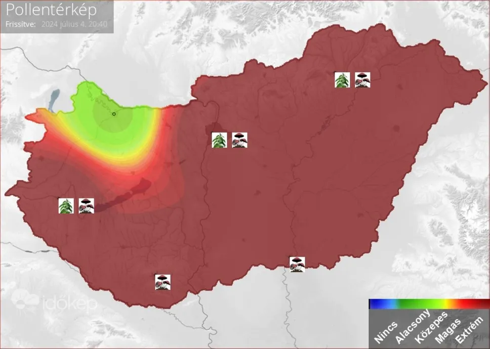 pollen, allergia, koncentráció, 