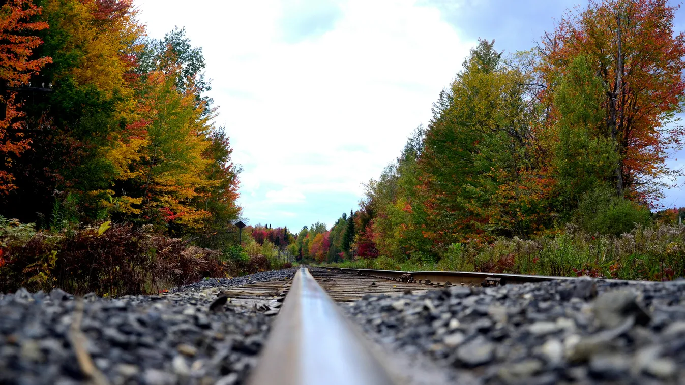 Egy 25 és egy 17 éves fiú holtteste hever a síneken