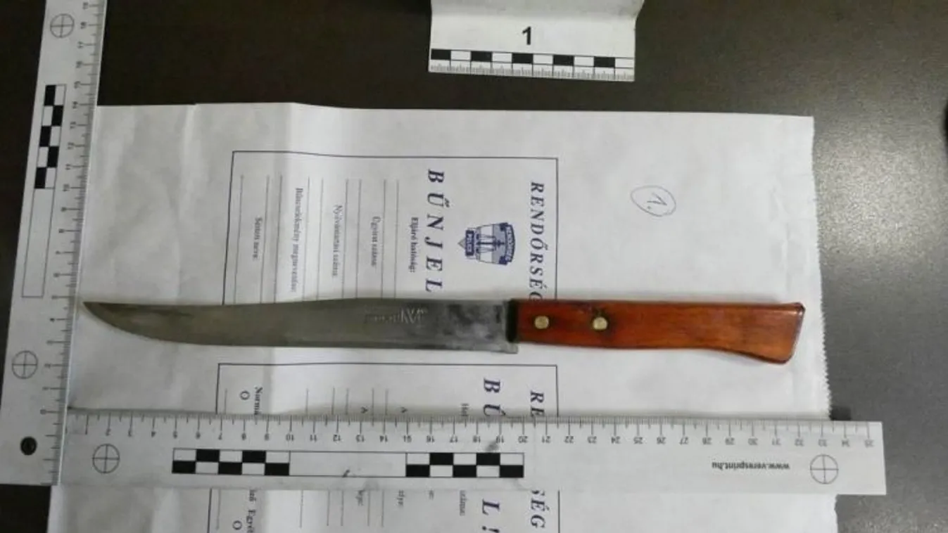 Elfogták a késsel őrjöngő maszkos fantomot, ezt tette