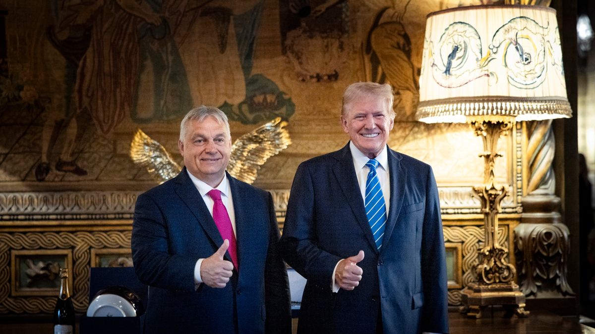 Válságcsoport alakult Németországban Trump várható győzelme miatt