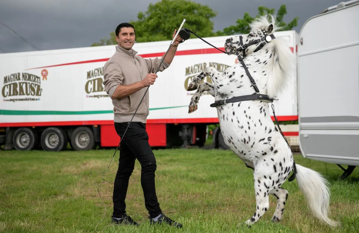 20240424-Richter-Jozsef-Debrecen-KA_5