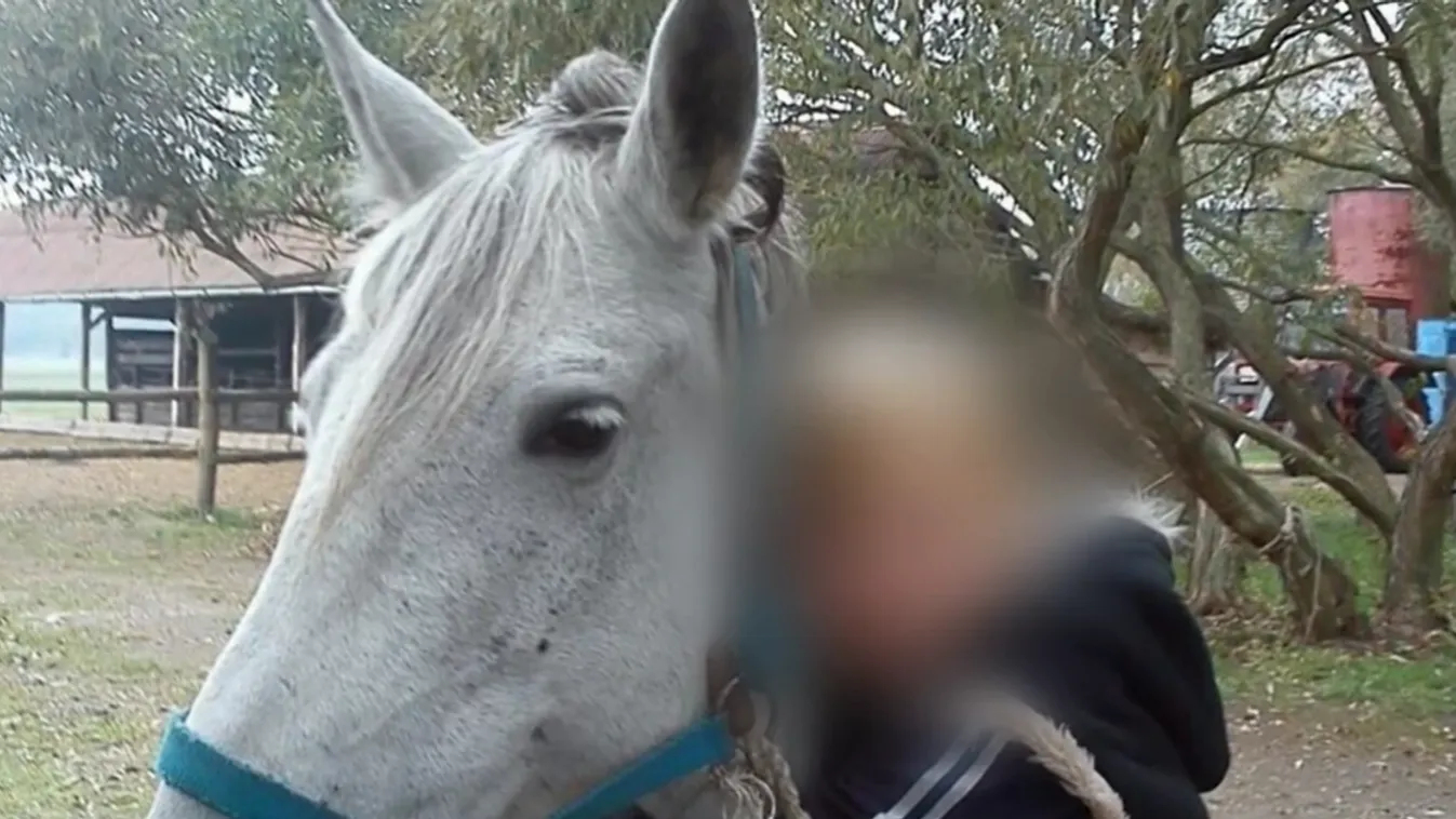 Súlyos állapotban lévő 8 éves kislányért rohantak a mentők