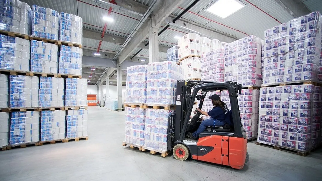 Napelemparkot és biomassza-erőművet tervez a magyar vállalat