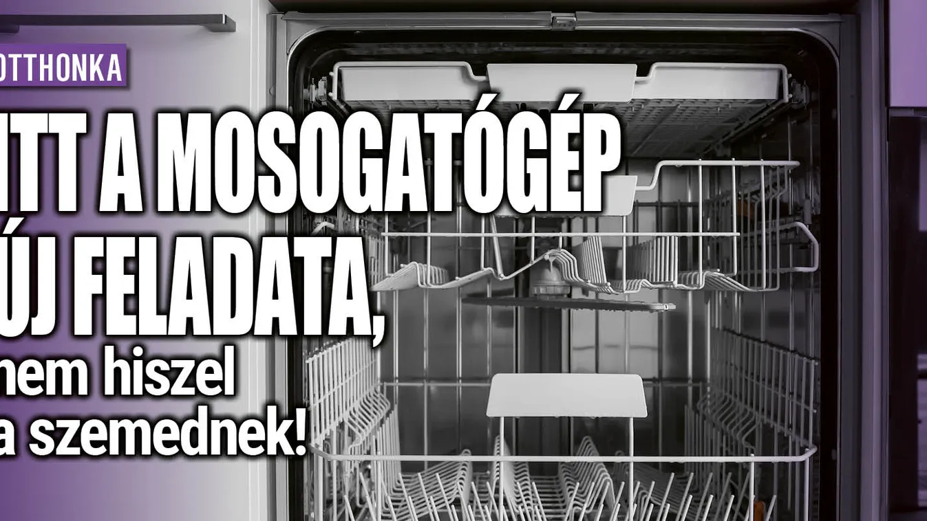 Itt a mosogatógép új feladata, nem hiszel a szemednek!