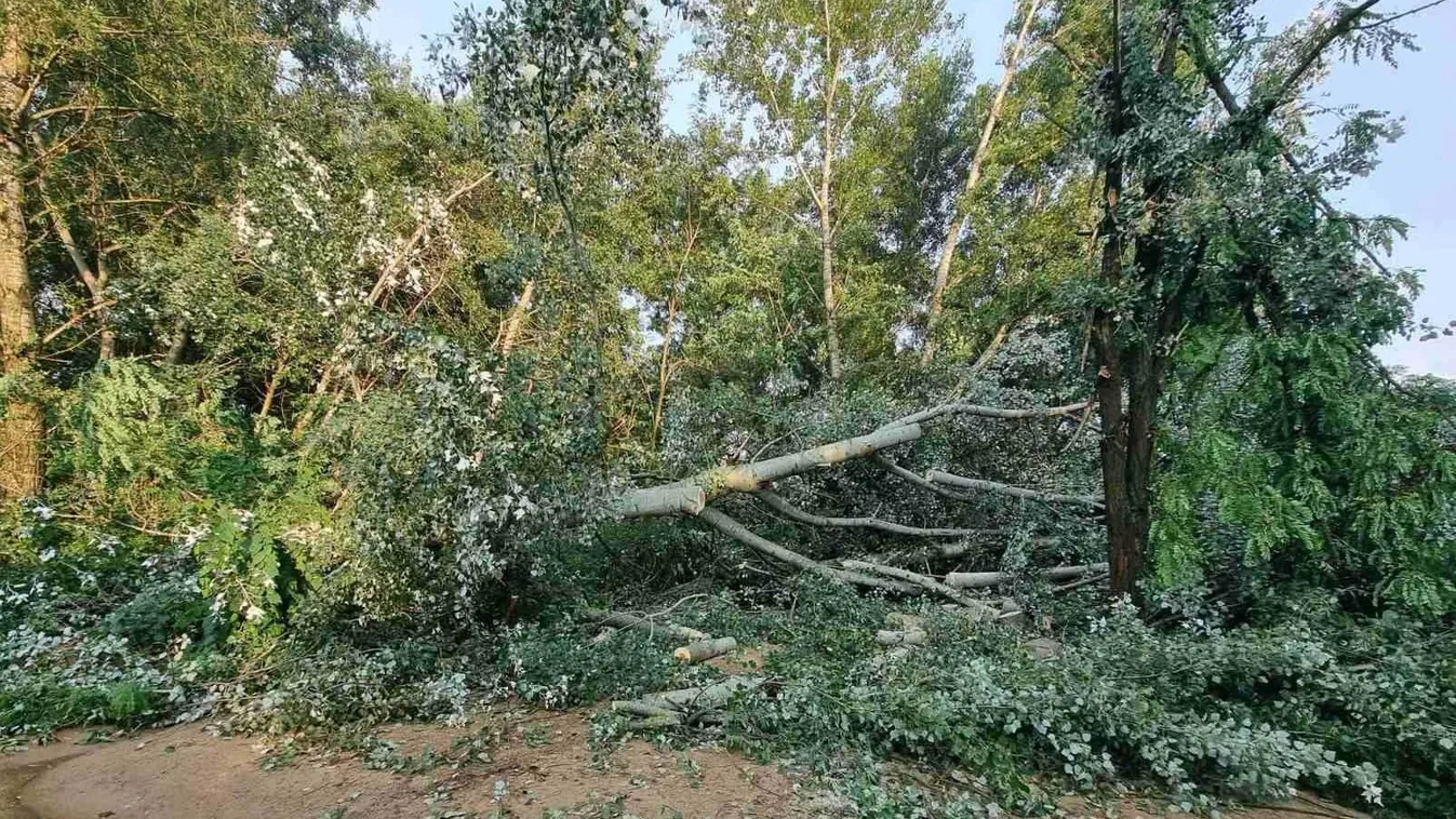 Elképesztő, hogy mi csapott le Magyarországra! Fotók!