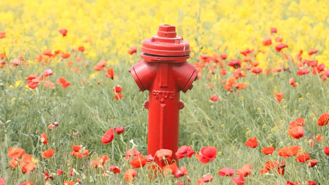 Félmeztelenül találtak rá a magyar férfira, ezt tette éppen