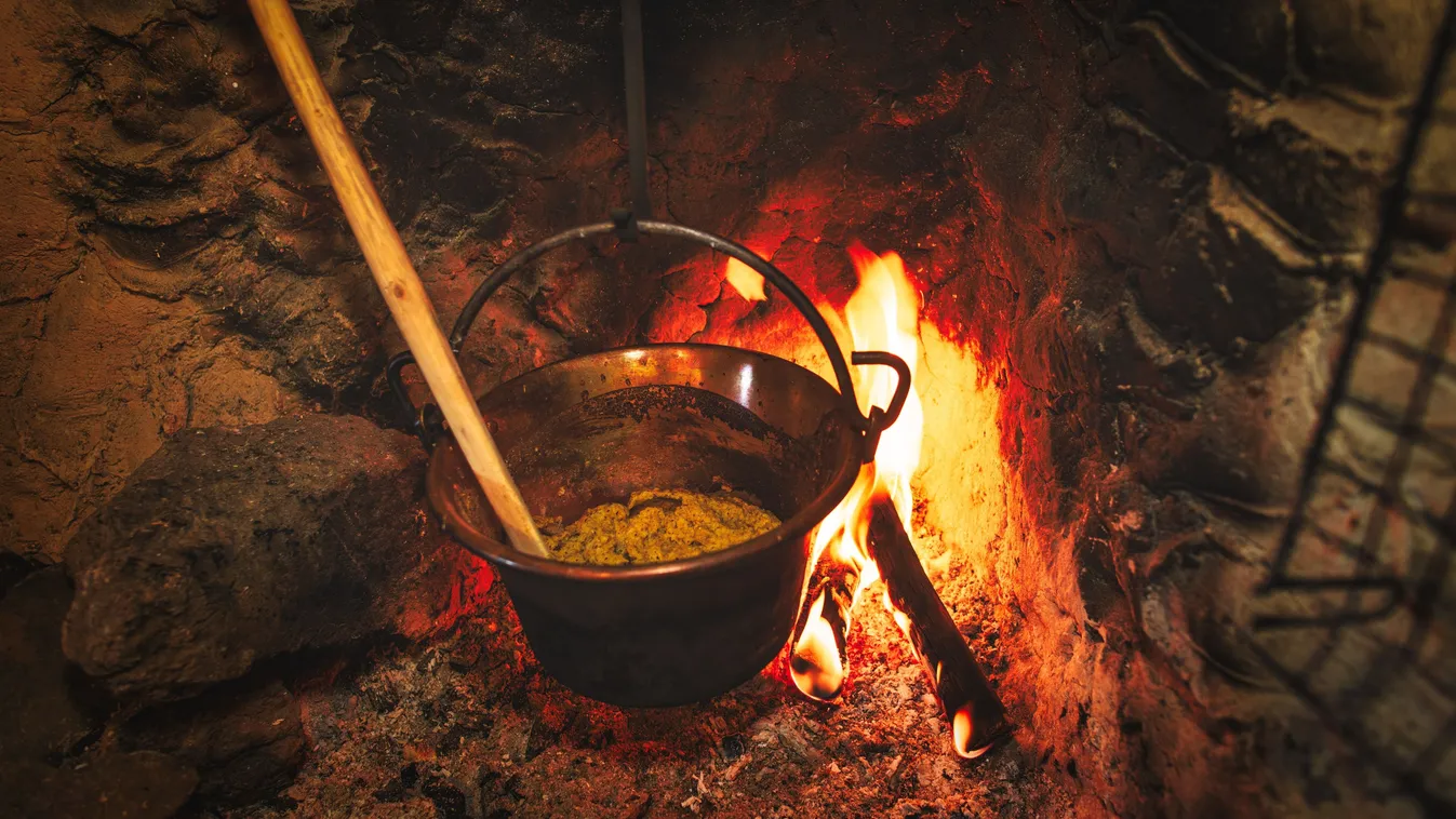 Ez az egyszerű vacsora elüldözi a szúnyogokat a kertedből