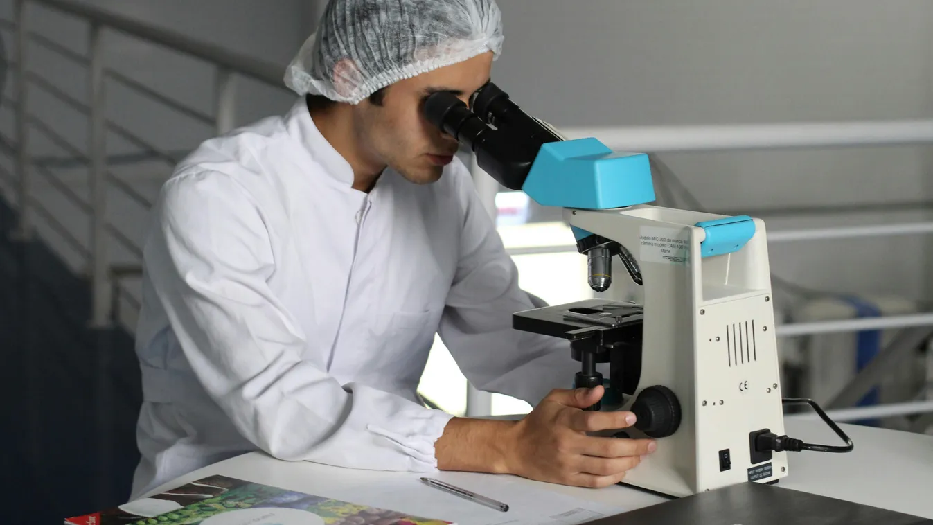 A tudósok is elsápadtak: mutáns lény jelent meg előttük