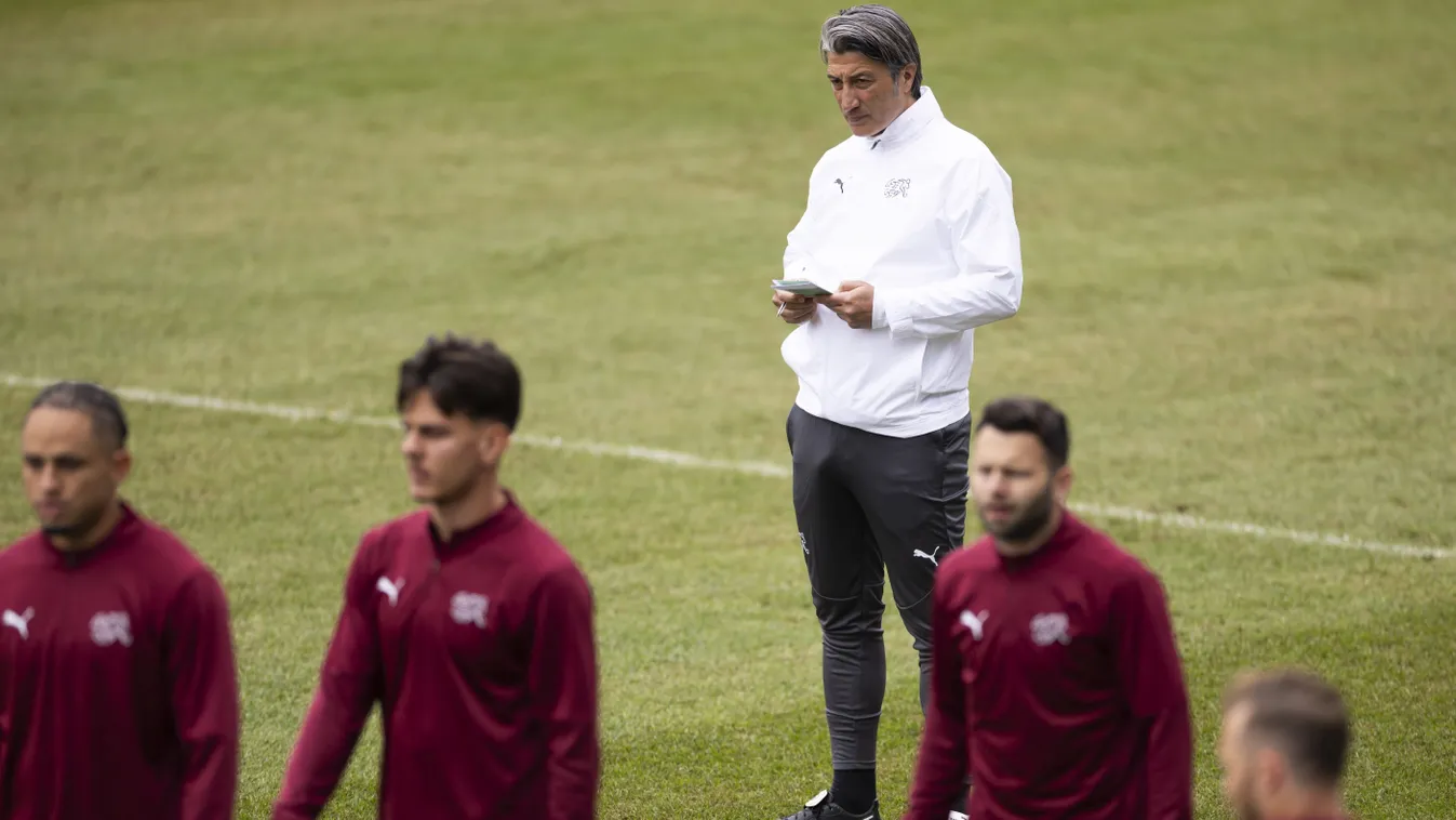 Svájcra fogad a magyar bajnok focista