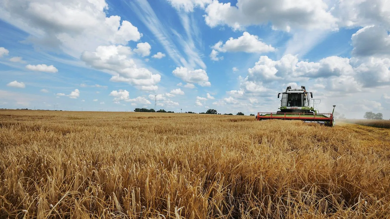Szántóföldre zuhant egy repülő, emberek haltak meg