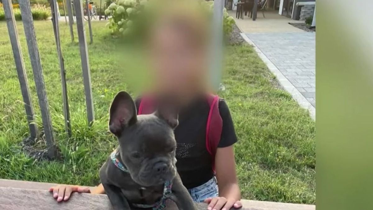 Terápiára szorul egy pápai kislány: szörnyű tragédiát látott