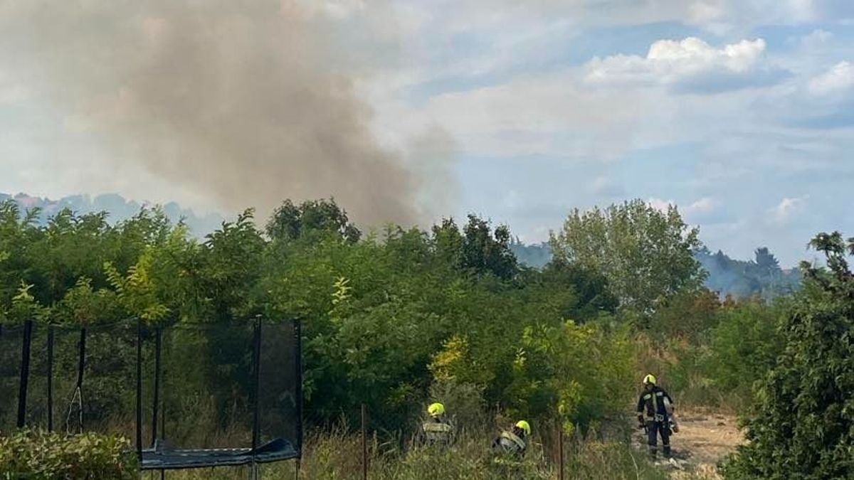 Óriási lángok csaptak fel az óbudai Táborhegyi parkban, 10 ezer négyzetméteren - Galéria