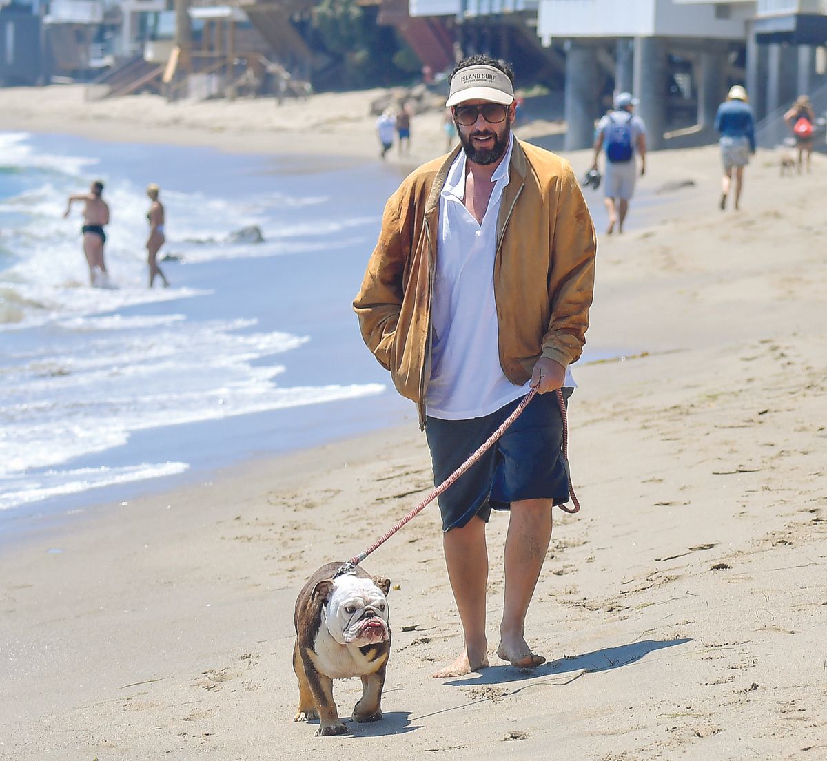 Adam Sandler walks his dog on the beach in Malibu