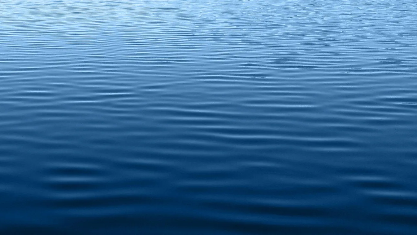 A szakemberek elhűltek attól, ami a borsodi tóból előkerült