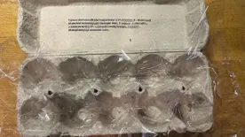 Ne dobd ki a tojásos dobozt, eszméletlen, mire jó