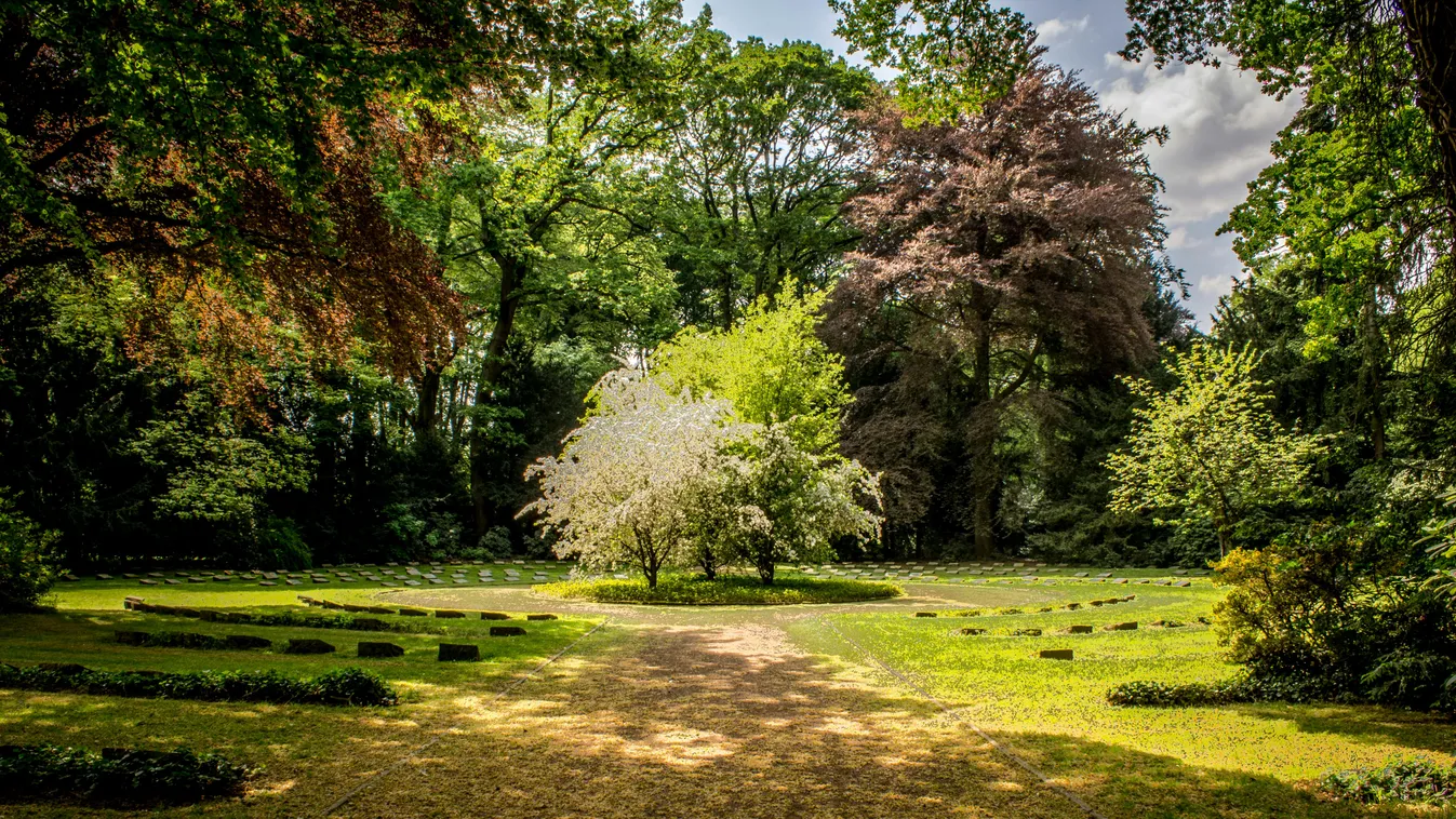 Mindenki előtt robbant a kéj egy budapesti parkban