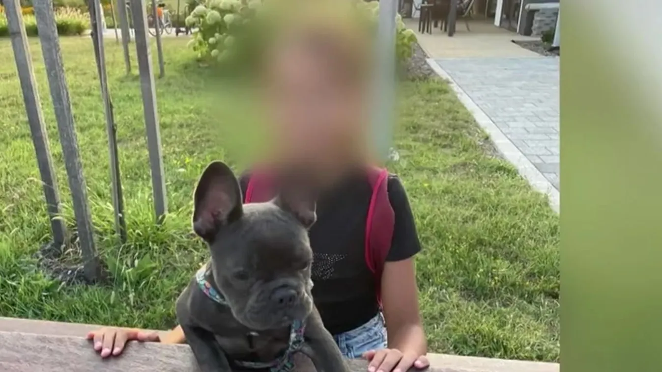 Terápiára szorul egy pápai kislány: durva tragédiát látott