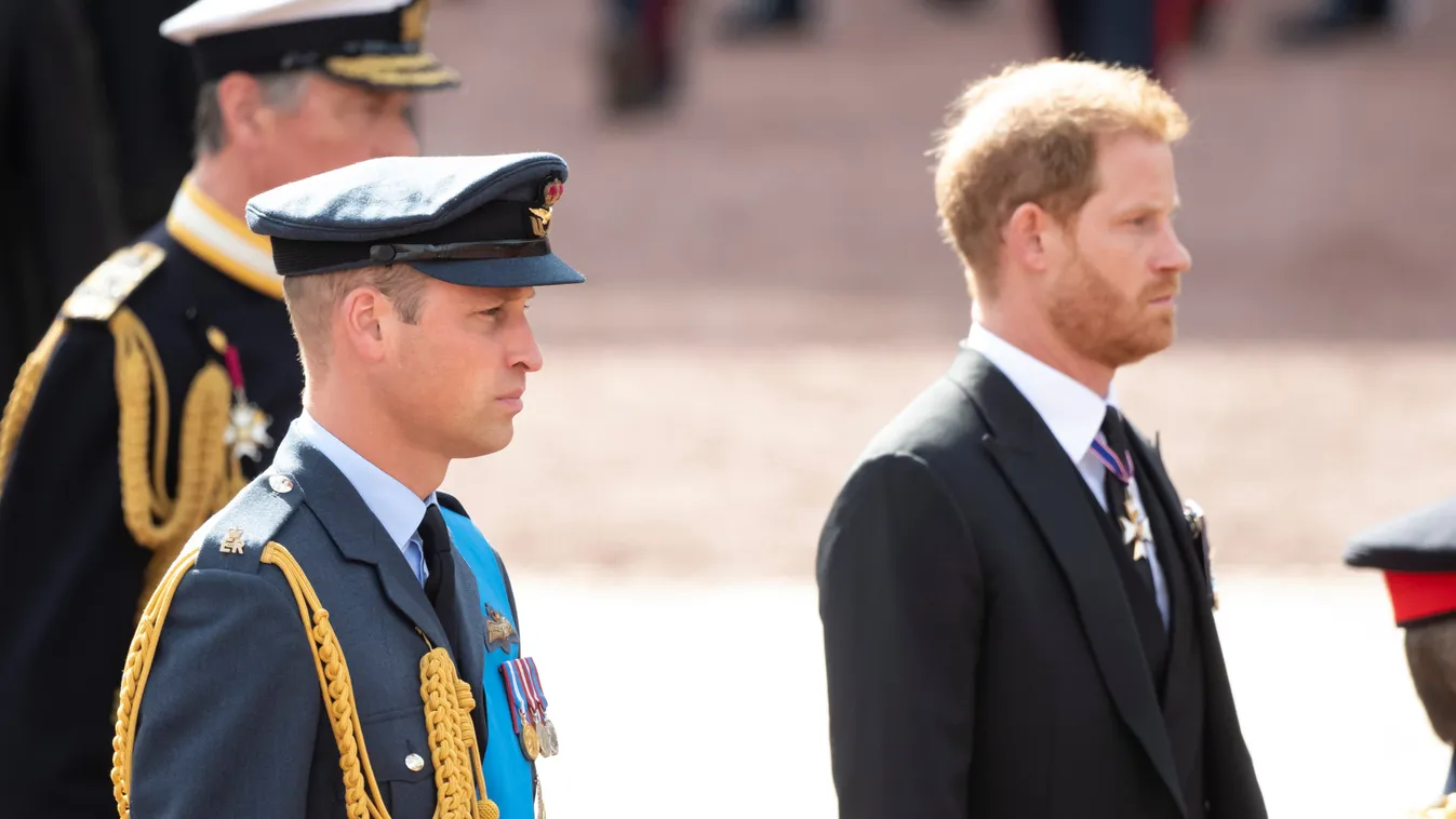 Katalin miatt romlott meg a viszony Vilmos és Harry között