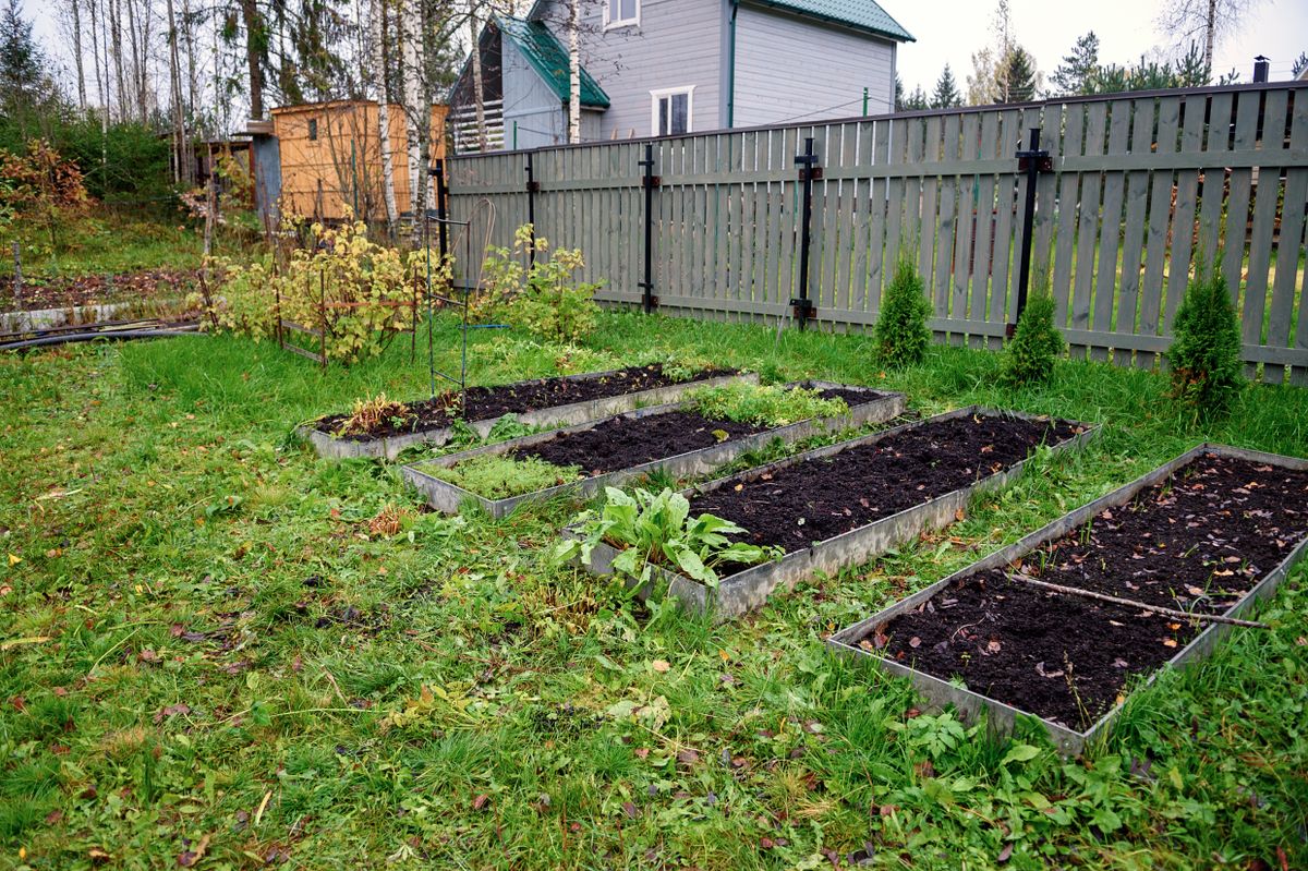 Vegetable,Beds,In,Autumn,,Preparation,For,Winter,Holidays.,Garden,,Cottage.