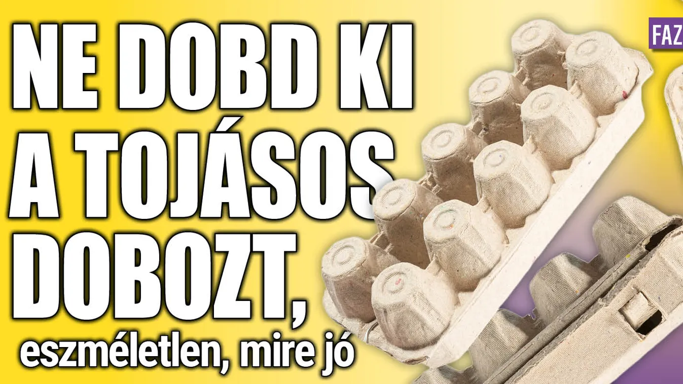 Ne dobd ki a tojásos dobozt, eszméletlen, mire jó