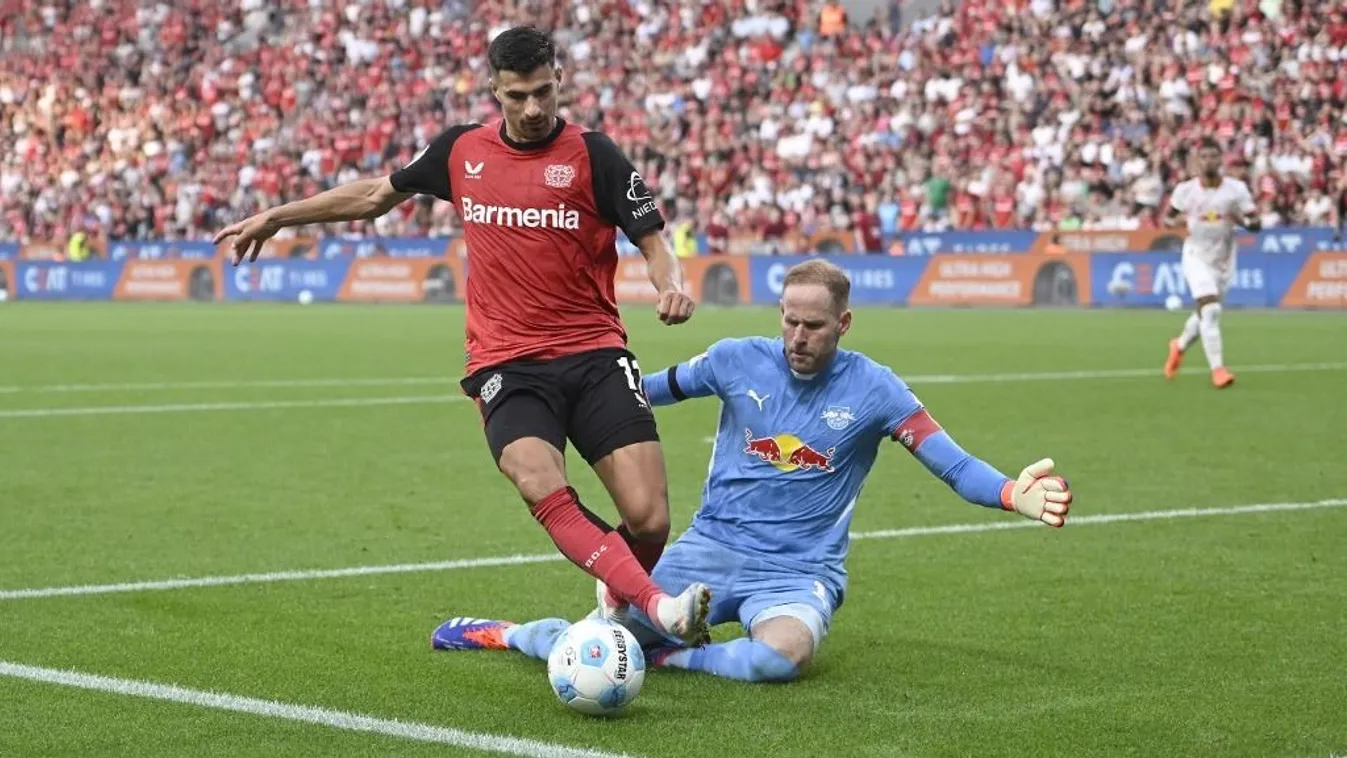 Világraszóló siker, Gulácsiék csodát tettek